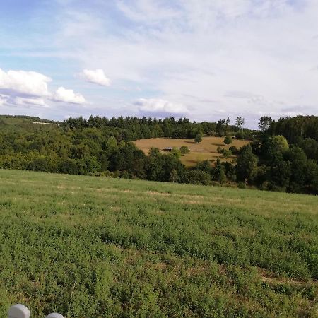 Ferienwohnung Altmaier - Ferien Auf Dem Lande Griebelschied Εξωτερικό φωτογραφία